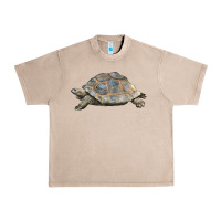 French Oak Tortoise Illustrations Urban Heavy Tee - LillyAllenDesigns
