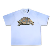 Grape Ice Tortoise Illustrations Urban Heavy Tee - LillyAllenDesigns