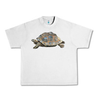 Lunar Rock Tortoise Illustrations Urban Heavy Tee - LillyAllenDesigns