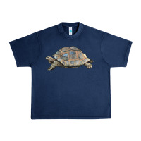 Navy Tortoise Illustrations Urban Heavy Tee - LillyAllenDesigns