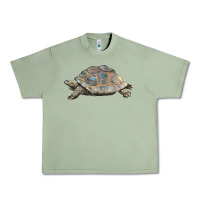 Oil Green Tortoise Illustrations Urban Heavy Tee - LillyAllenDesigns