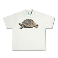 Pistachio Tortoise Illustrations Urban Heavy Tee - LillyAllenDesigns