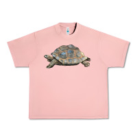 Salmon Tortoise Illustrations Urban Heavy Tee - LillyAllenDesigns