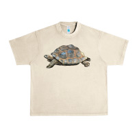 Sandshell Tortoise Illustrations Urban Heavy Tee - LillyAllenDesigns