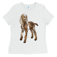 White Baby Nubian Goat Ladies Tee - LillyAllenDesigns