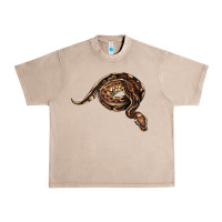 French Oak Royal Ball Python Illustrations Urban Heavy Tee - LillyAllenDesigns