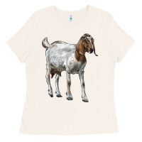 Bone Boer Goat Ladies Tee - LillyAllenDesigns