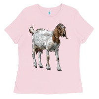 Bubblegum Pink Boer Goat Ladies Tee - LillyAllenDesigns