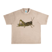 French Oak Grasshopper Urban Heavy Tee - LillyAllenDesigns