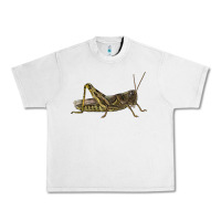 Lunar Rock Grasshopper Urban Heavy Tee - LillyAllenDesigns