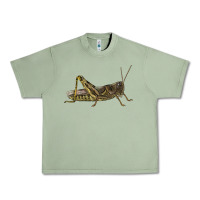 Oil Green Grasshopper Urban Heavy Tee - LillyAllenDesigns