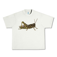 Pistachio Grasshopper Urban Heavy Tee - LillyAllenDesigns