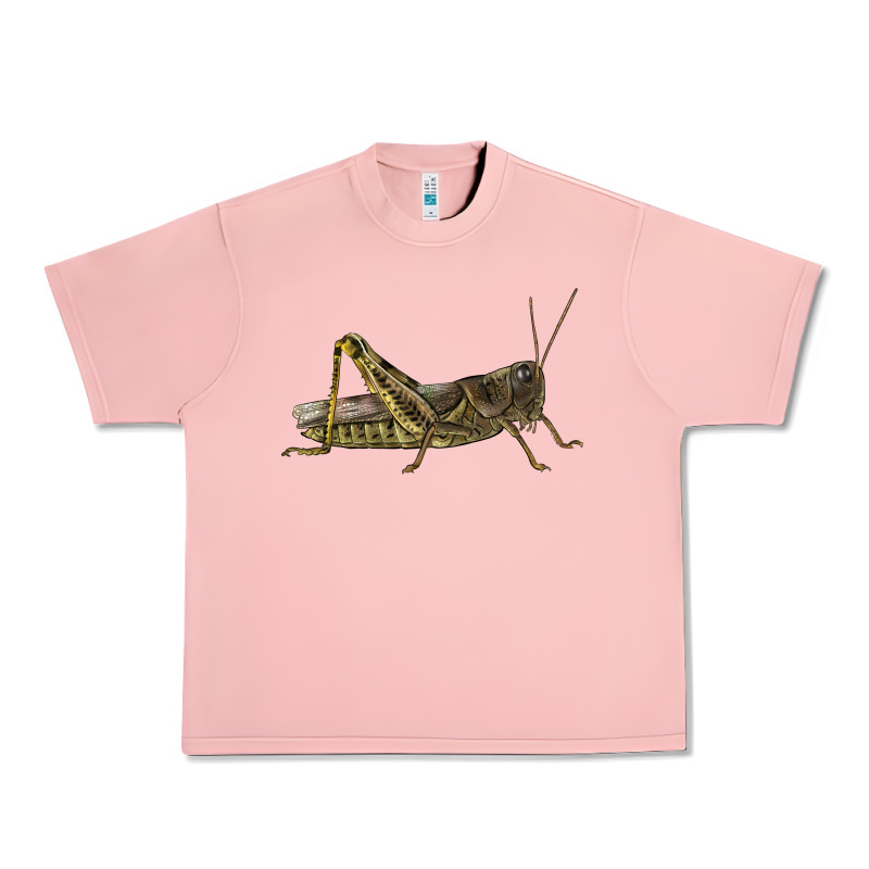 Grasshopper Urban Heavy Tee by LillyAllenDesigns | Teevron