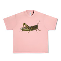 Salmon Grasshopper Urban Heavy Tee - LillyAllenDesigns