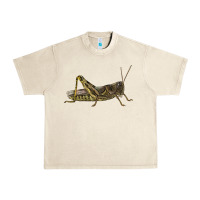 Sandshell Grasshopper Urban Heavy Tee - LillyAllenDesigns