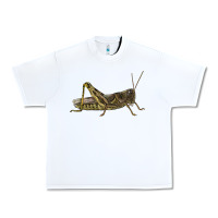 White Grasshopper Urban Heavy Tee - LillyAllenDesigns