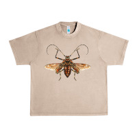 French Oak acrocinus beetle with wings Urban Heavy Tee - LillyAllenDesigns