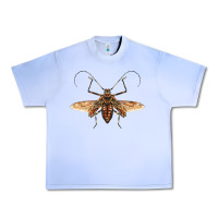 Grape Ice acrocinus beetle with wings Urban Heavy Tee - LillyAllenDesigns