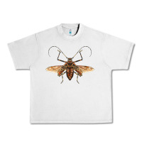 Lunar Rock acrocinus beetle with wings Urban Heavy Tee - LillyAllenDesigns