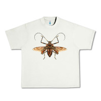 Pistachio acrocinus beetle with wings Urban Heavy Tee - LillyAllenDesigns