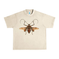 Sandshell acrocinus beetle with wings Urban Heavy Tee - LillyAllenDesigns