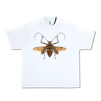 White acrocinus beetle with wings Urban Heavy Tee - LillyAllenDesigns
