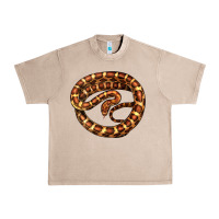 French Oak Corn Snake Illustrations Urban Heavy Tee - LillyAllenDesigns