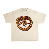 Sandshell Corn Snake Illustrations Urban Heavy Tee - LillyAllenDesigns