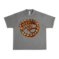 Tornado Corn Snake Illustrations Urban Heavy Tee - LillyAllenDesigns