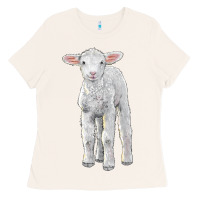Bone merino wool baby sheep Ladies Tee - LillyAllenDesigns
