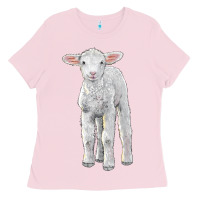 Bubblegum Pink merino wool baby sheep Ladies Tee - LillyAllenDesigns