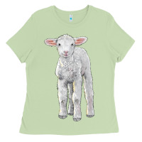 Matcha merino wool baby sheep Ladies Tee - LillyAllenDesigns
