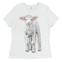White merino wool baby sheep Ladies Tee - LillyAllenDesigns