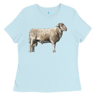 Baby Blue katahdin sheep Ladies Tee - LillyAllenDesigns