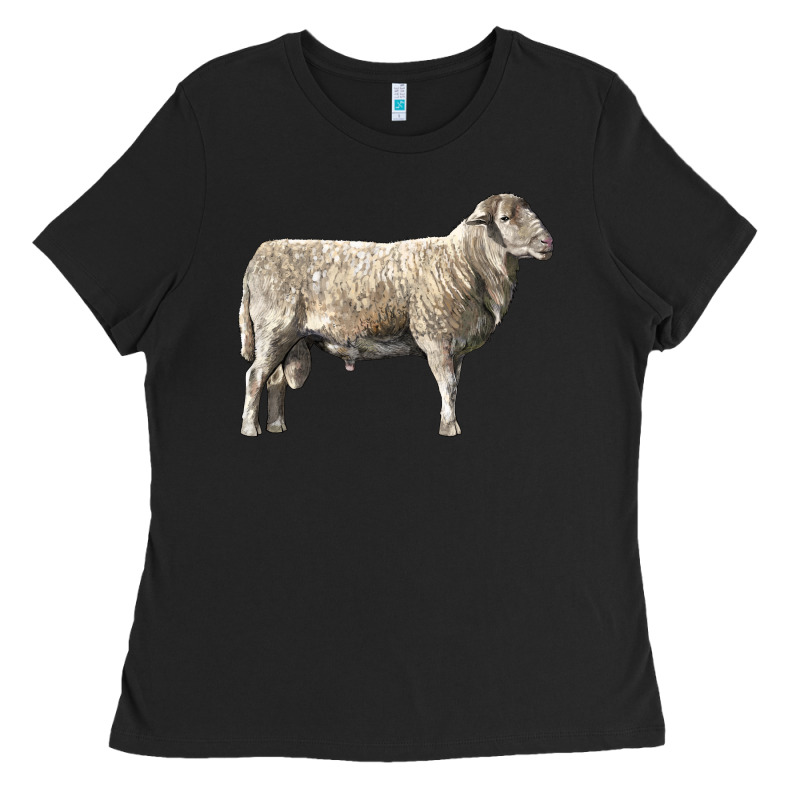 Katahdin Sheep Ladies Tee by LillyAllenDesigns | Teevron