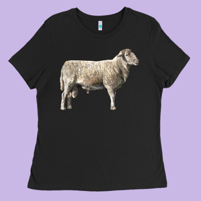 Katahdin Sheep Ladies Tee Designed By Lillyallendesigns