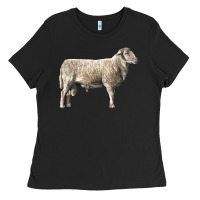 Black katahdin sheep Ladies Tee - LillyAllenDesigns