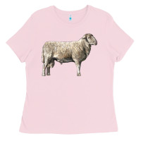 Bubblegum Pink katahdin sheep Ladies Tee - LillyAllenDesigns