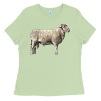 Matcha katahdin sheep Ladies Tee - LillyAllenDesigns