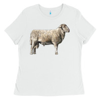 White katahdin sheep Ladies Tee - LillyAllenDesigns