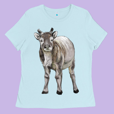 Reindeer Fawn Deer Ladies Tee Designed By Lillyallendesigns