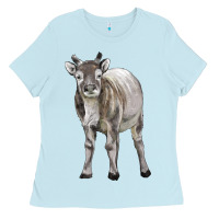 Baby Blue reindeer fawn deer Ladies Tee - LillyAllenDesigns