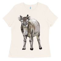 Bone reindeer fawn deer Ladies Tee - LillyAllenDesigns