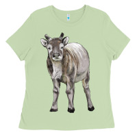Matcha reindeer fawn deer Ladies Tee - LillyAllenDesigns