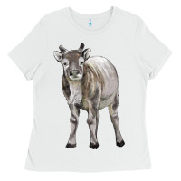White reindeer fawn deer Ladies Tee - LillyAllenDesigns