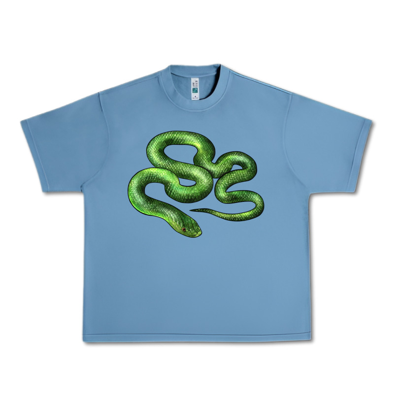 Boomslang Snake Urban Heavy Tee by LillyAllenDesigns | Teevron