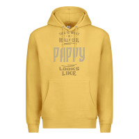 Antique Gold Really Cool Pappy Premium Hoodie - artisFamous