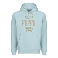 Blue Mist Really Cool Pappy Premium Hoodie - artisFamous