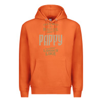 Carrot Really Cool Pappy Premium Hoodie - artisFamous
