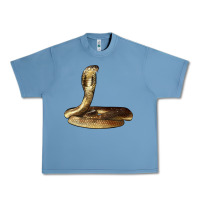 Pebble Blue king cobra snake Urban Heavy Tee - LillyAllenDesigns